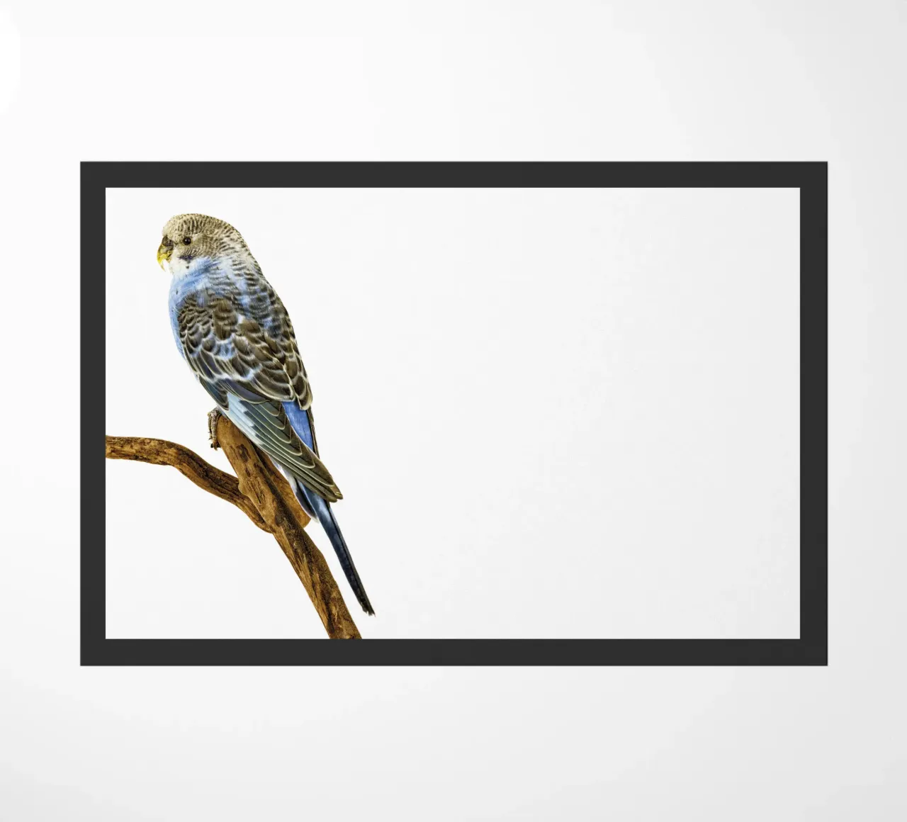 Parakeets doormat by Curious Collections by Marielle Leenders