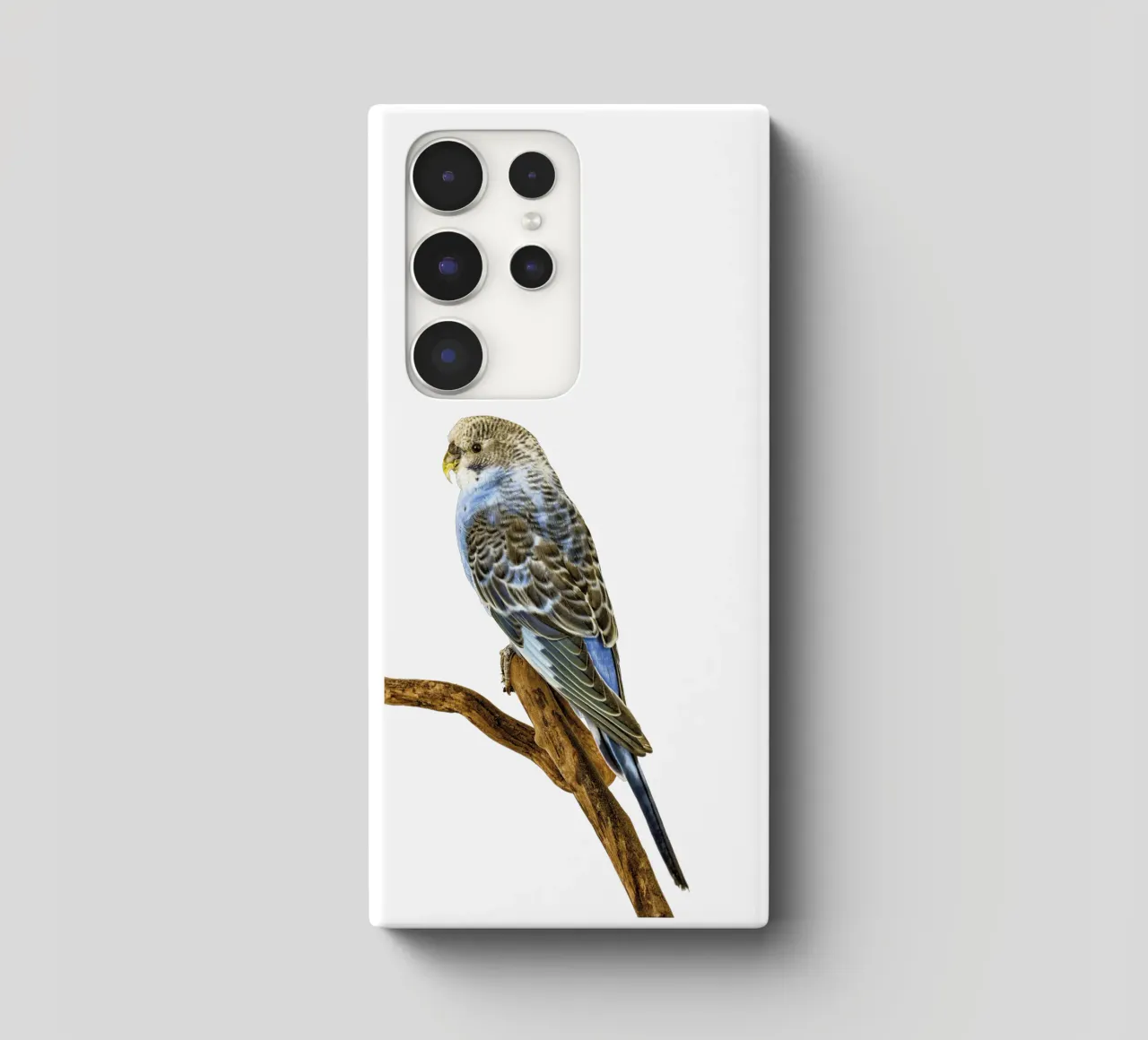 Parakeets cover samsung da Curious Collections by Marielle Leenders