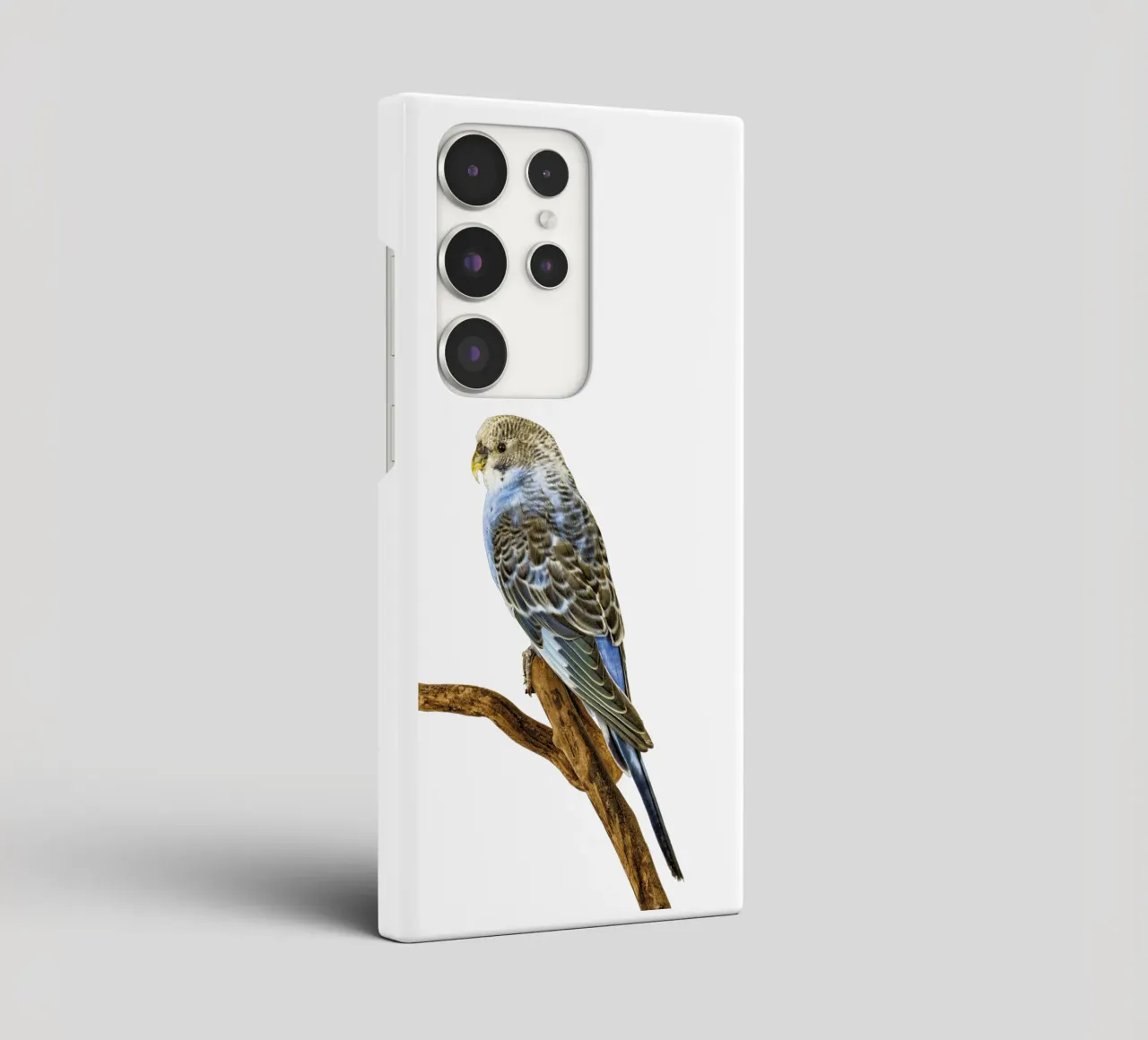 Parakeets cover samsung da Curious Collections by Marielle Leenders