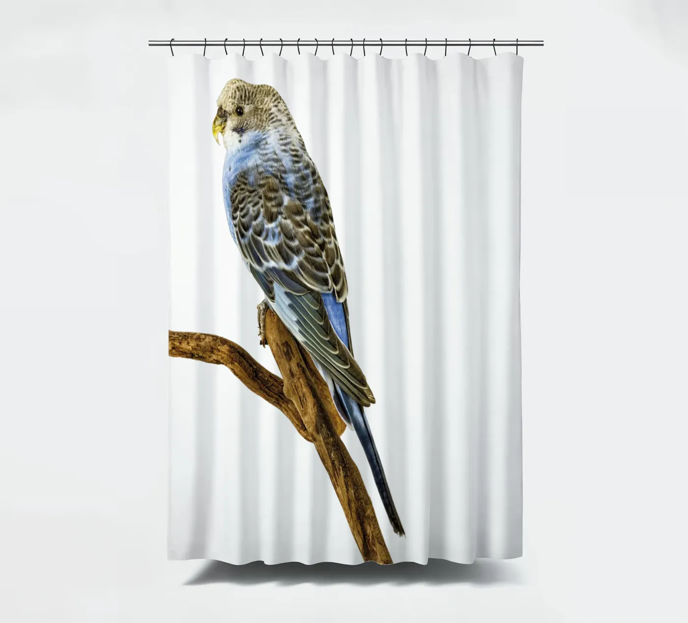 Sittiche Duschvorhang von Curious Collections by Marielle Leenders