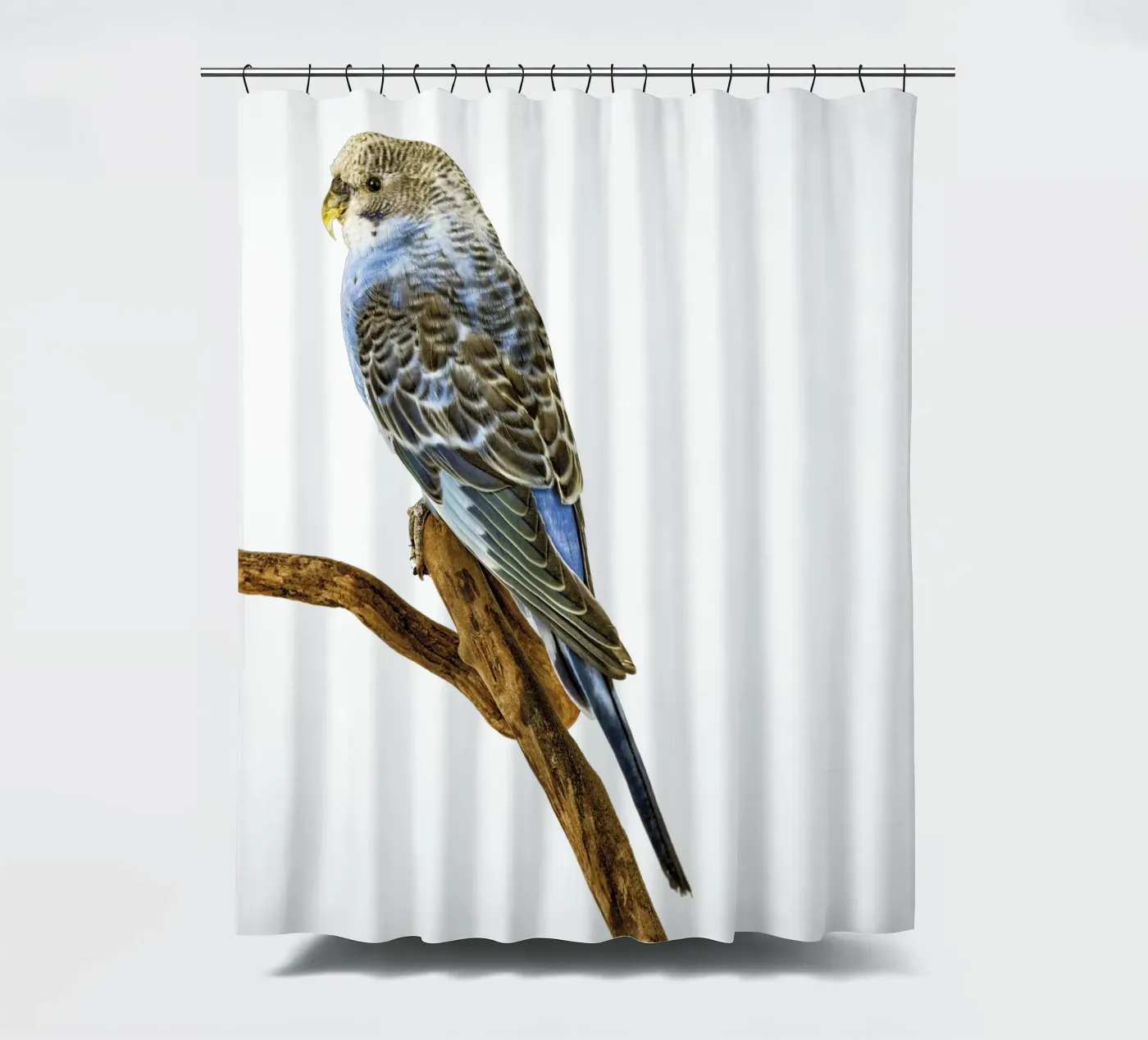 Sittiche Duschvorhang von Curious Collections by Marielle Leenders