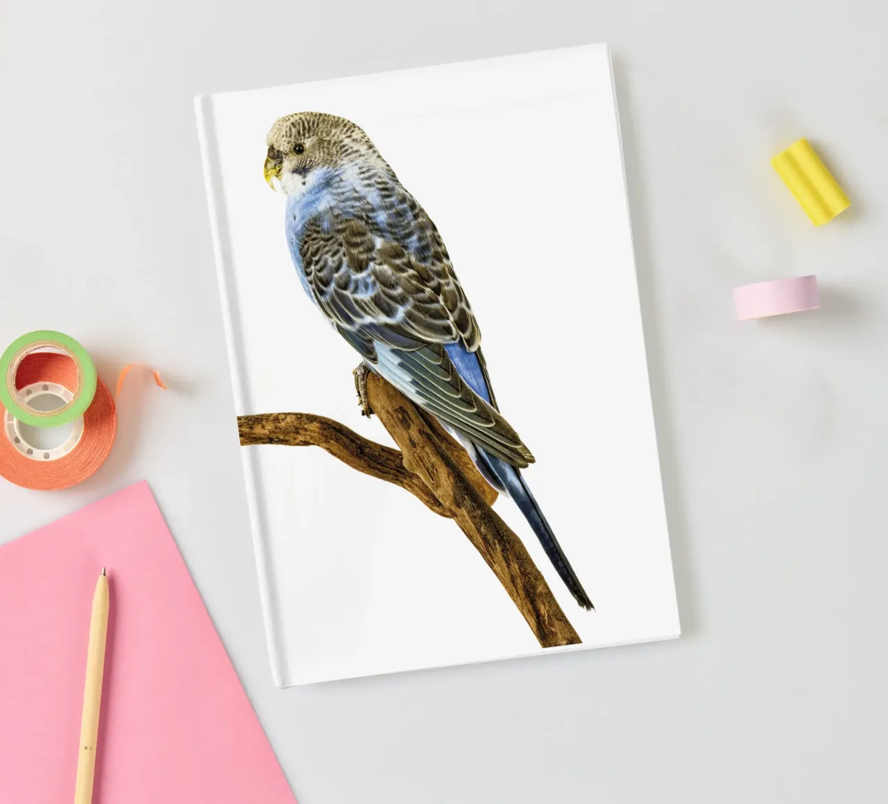 Parakeets notebook by Curious Collections by Marielle Leenders