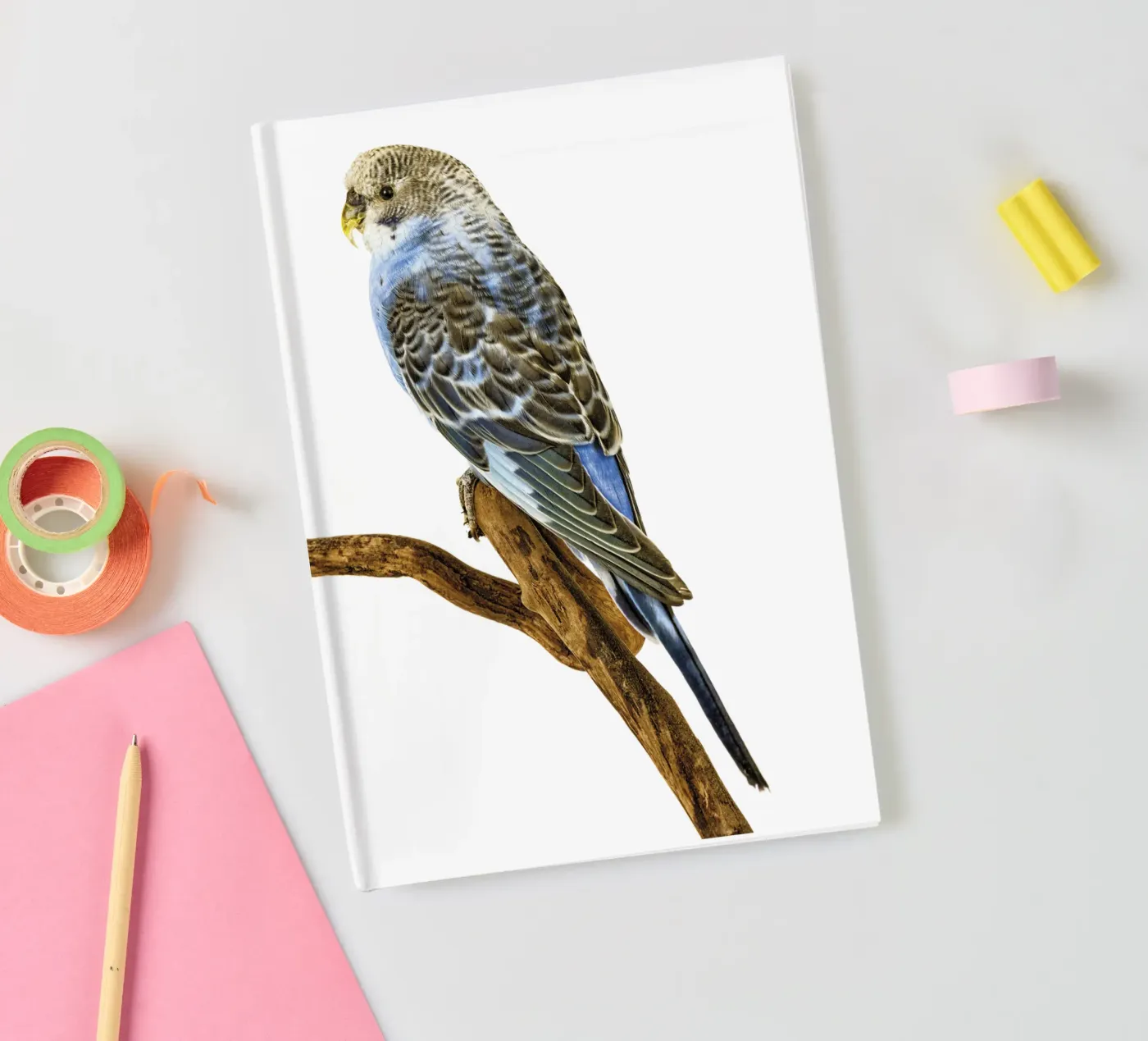 Parakeets notebook by Curious Collections by Marielle Leenders
