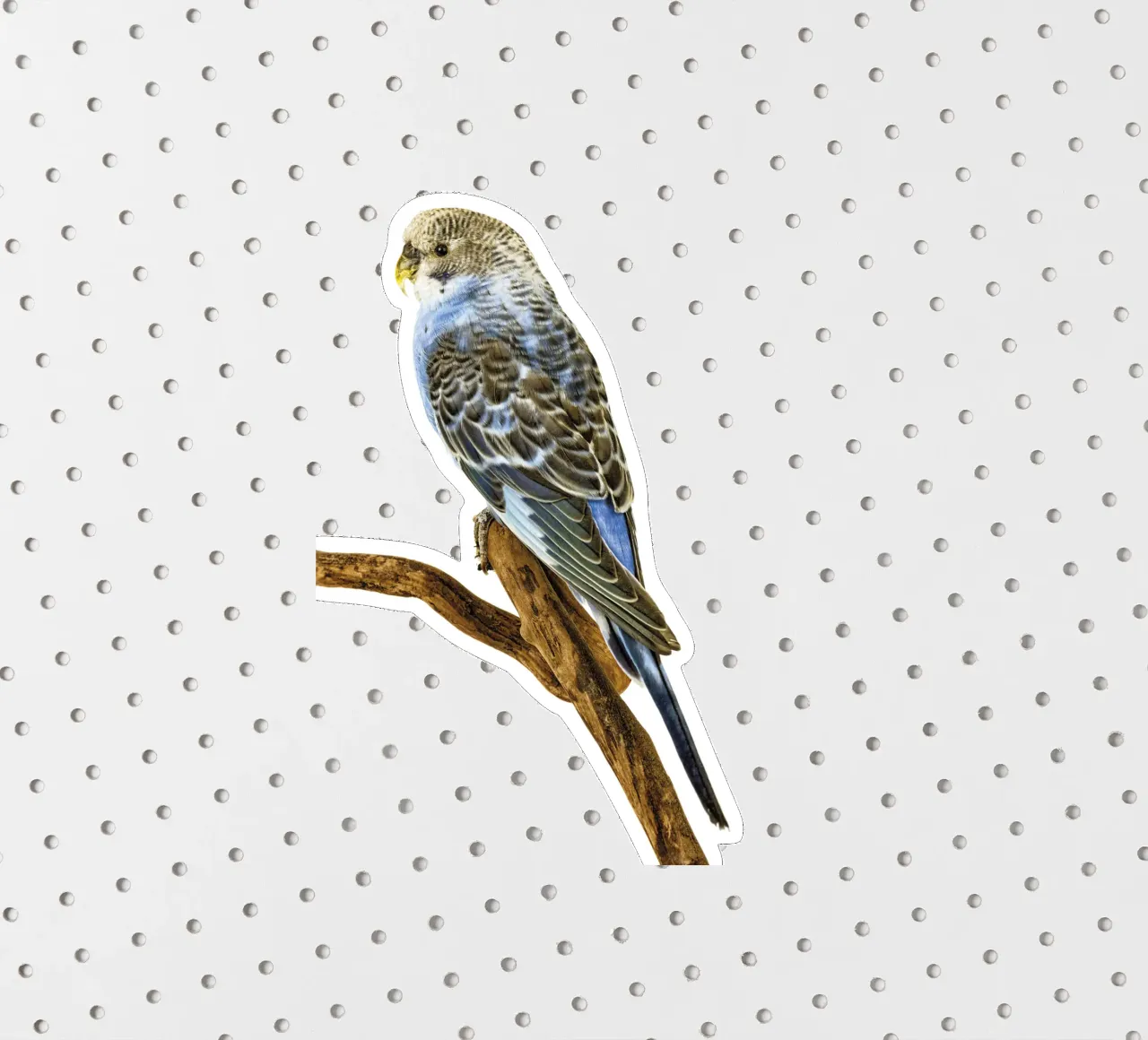 Parakeets sticker by Curious Collections by Marielle Leenders