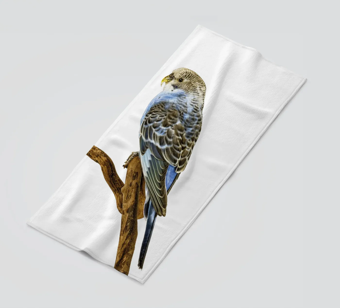 Parakeets beach towel by Curious Collections by Marielle Leenders