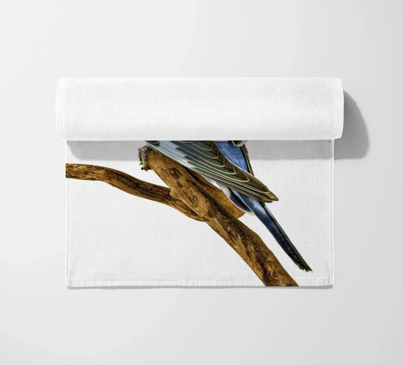 Parakeets beach towel by Curious Collections by Marielle Leenders
