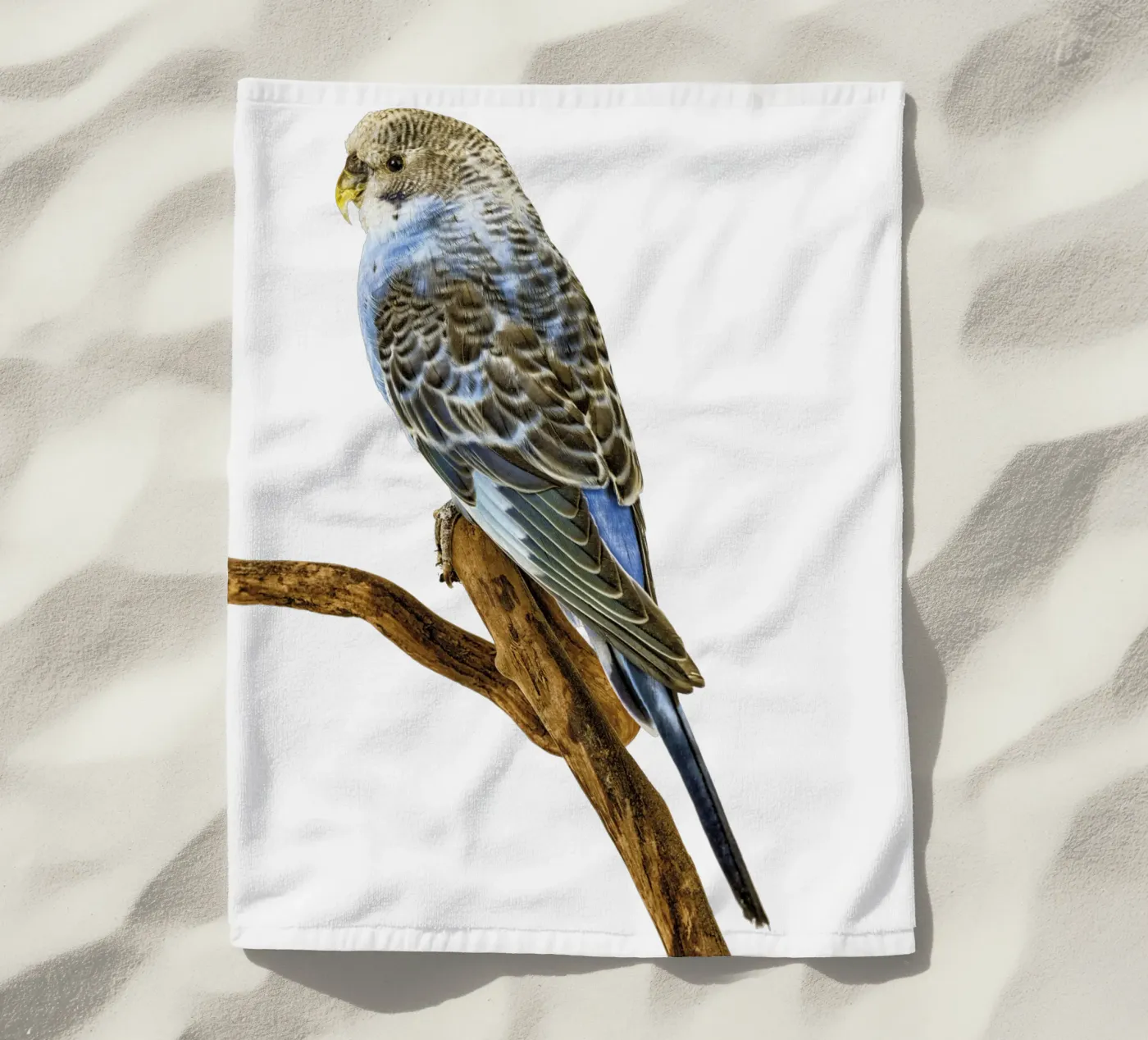 Parakeets beach towel by Curious Collections by Marielle Leenders