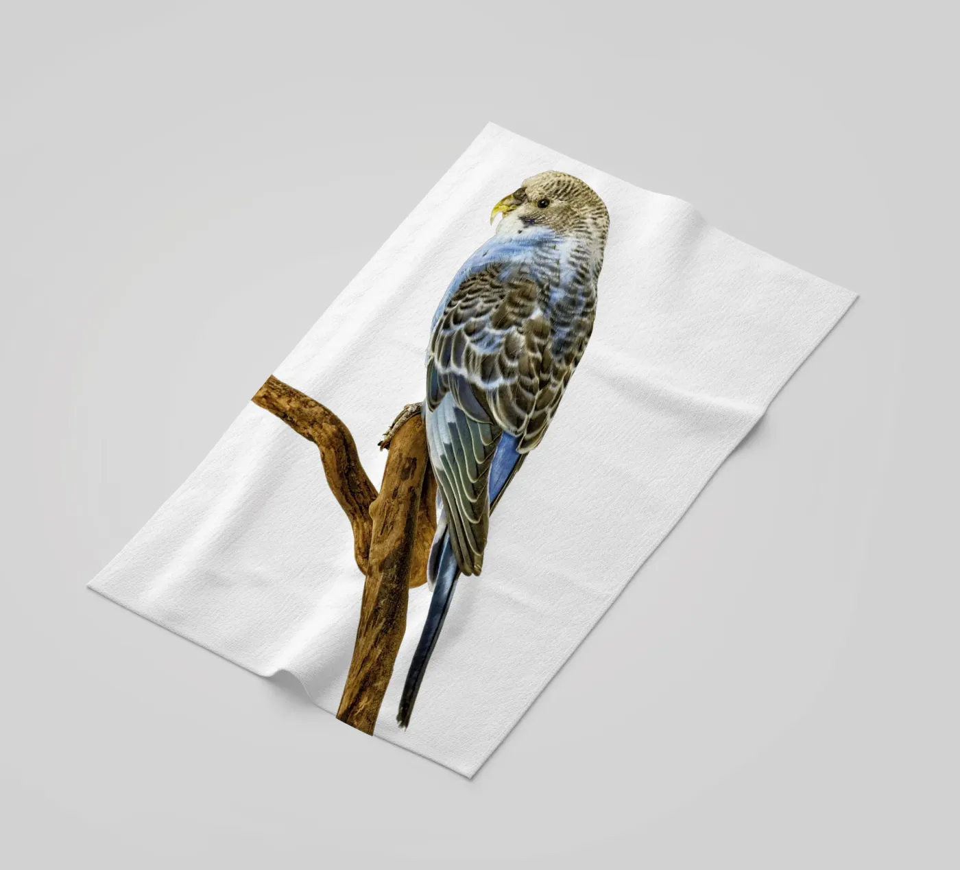 Parakeets beach towel by Curious Collections by Marielle Leenders
