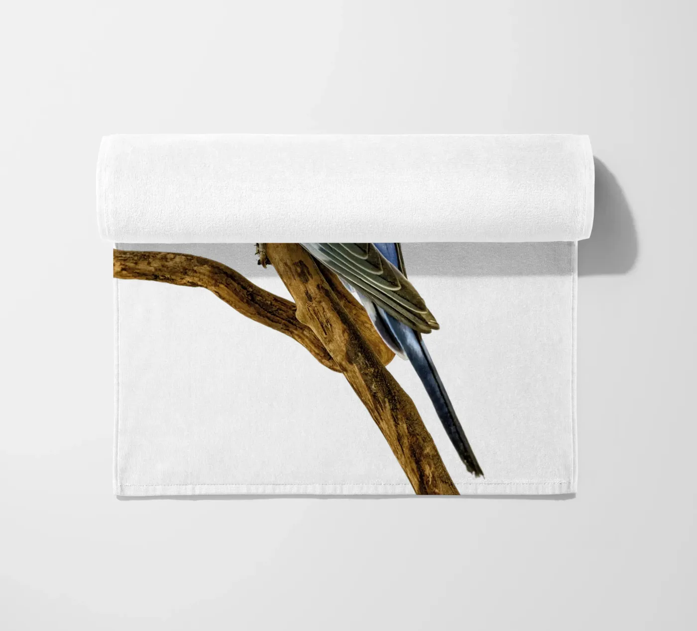 Parakeets beach towel by Curious Collections by Marielle Leenders