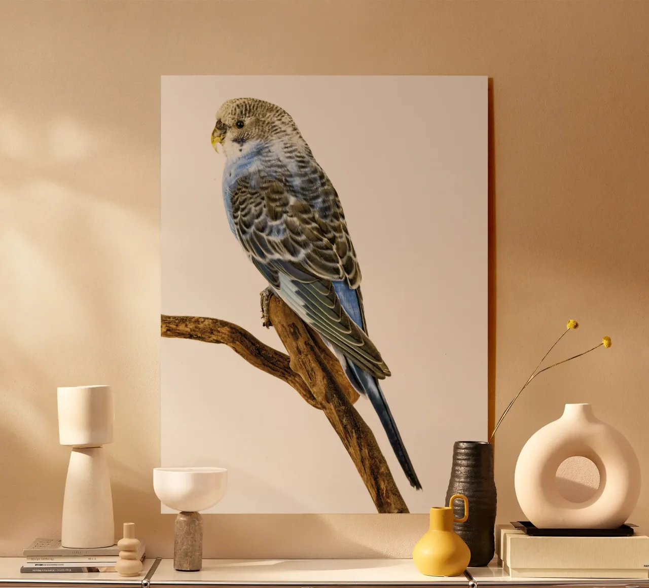 Pappagallini plexiglass da Curious Collections by Marielle Leenders