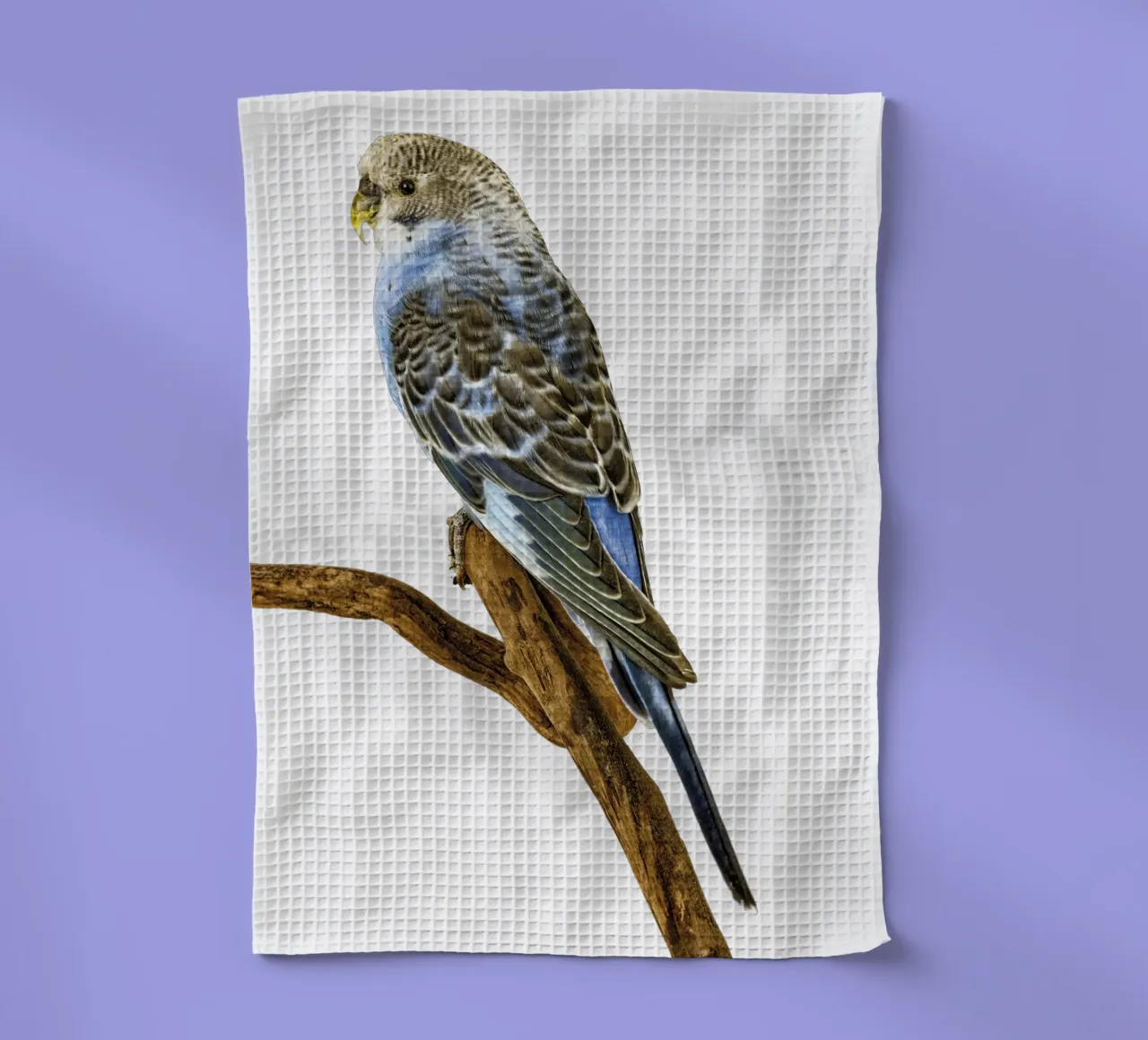 Perruches torchon de Curious Collections by Marielle Leenders