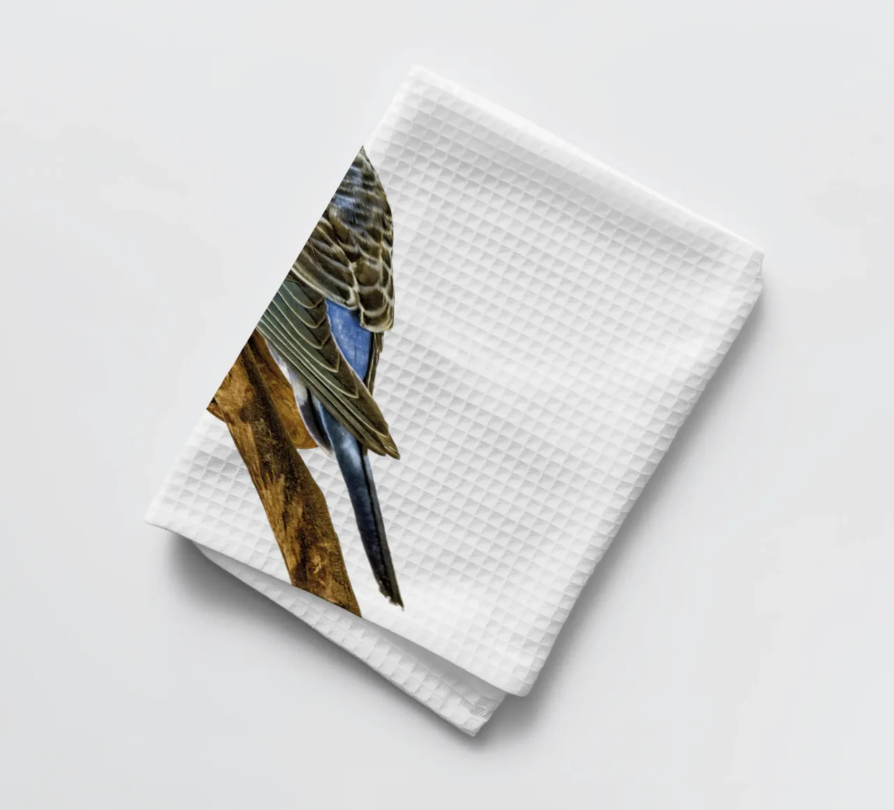 Perruches torchon de Curious Collections by Marielle Leenders