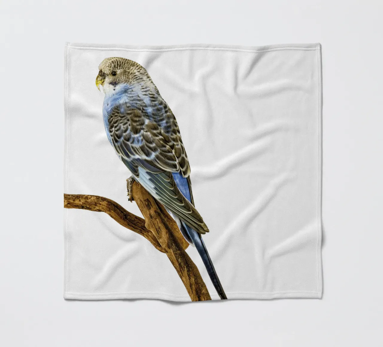 Parakeets fleece blanket by Curious Collections by Marielle Leenders