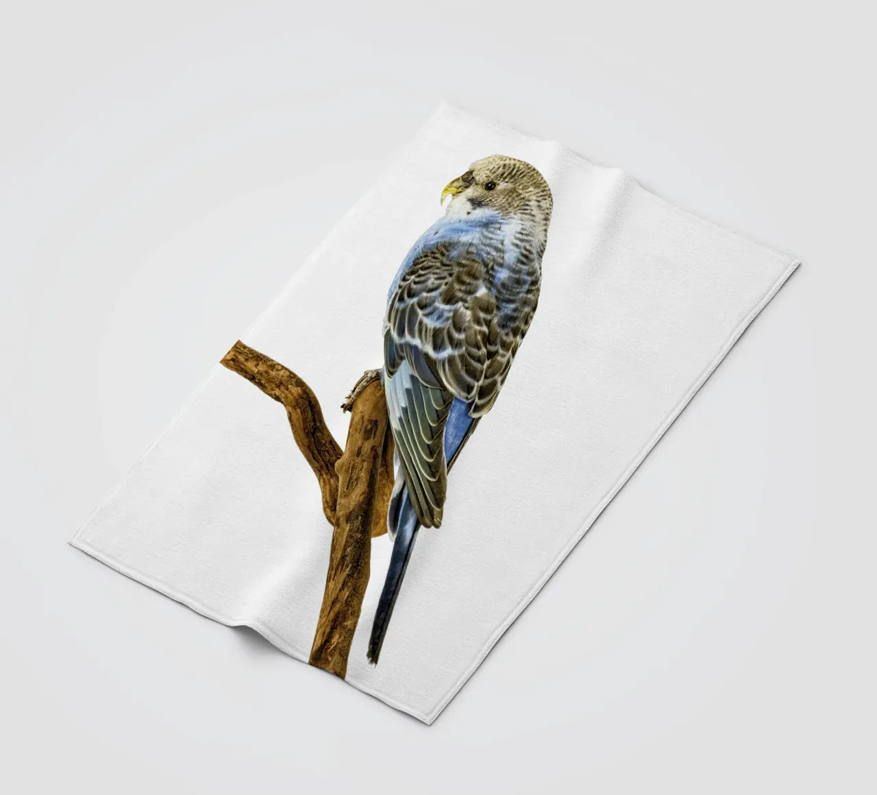 Parakeets fleece blanket by Curious Collections by Marielle Leenders