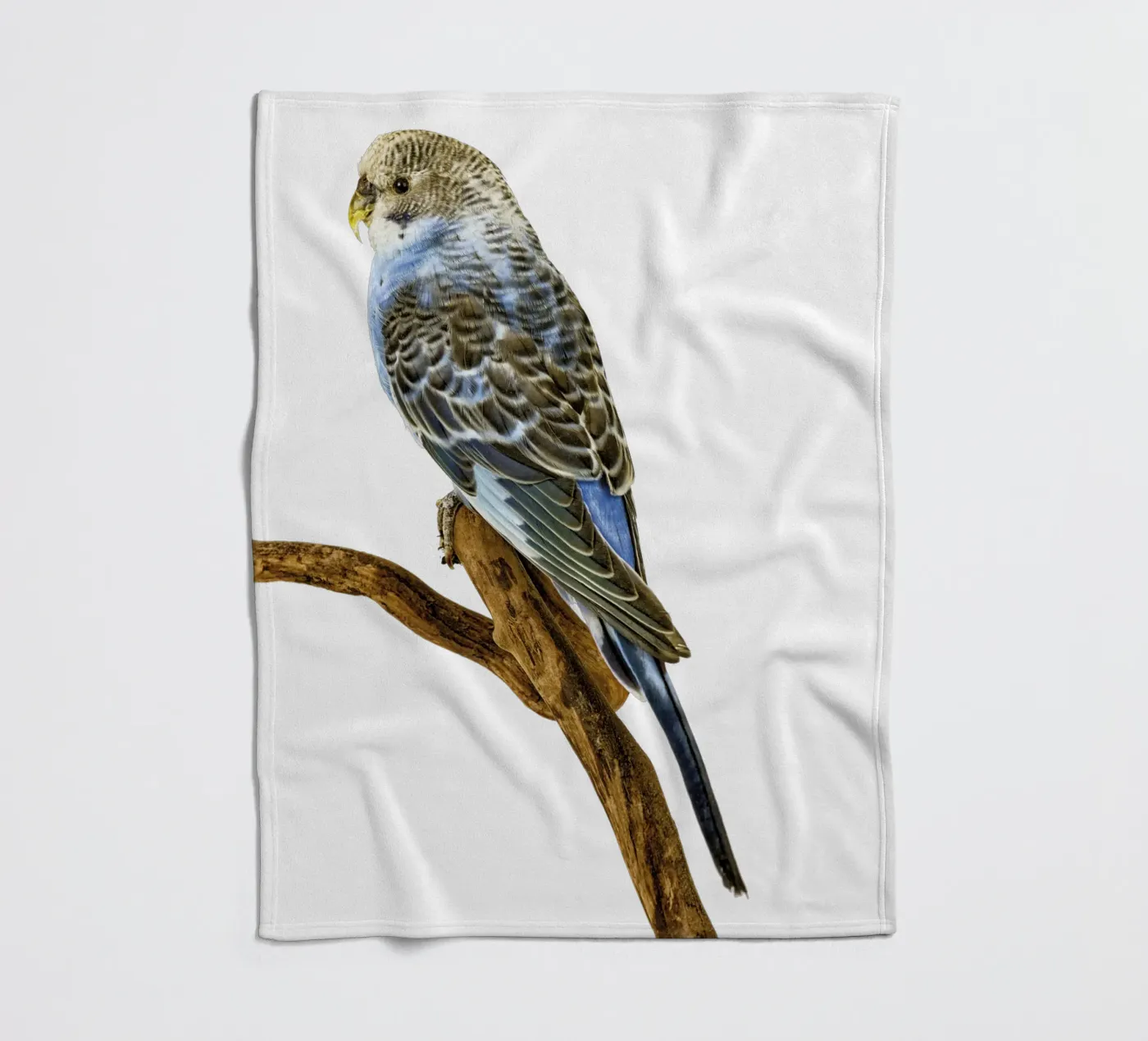 Parakeets fleece blanket by Curious Collections by Marielle Leenders