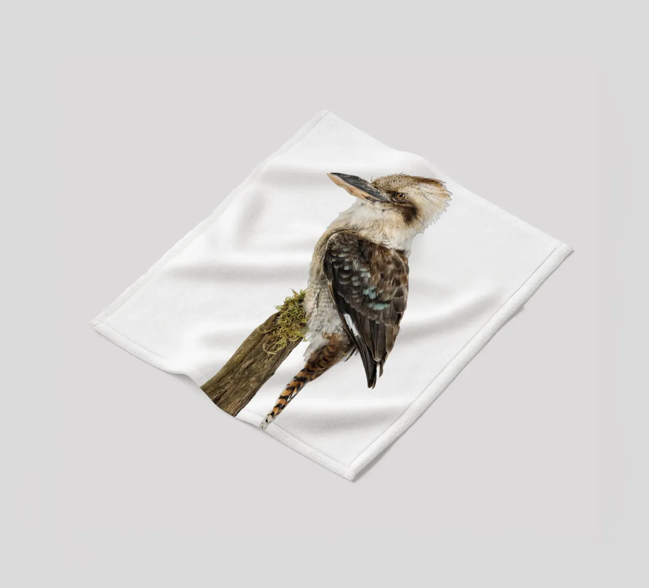 Kookaburra coperta in pile da Curious Collections by Marielle Leenders