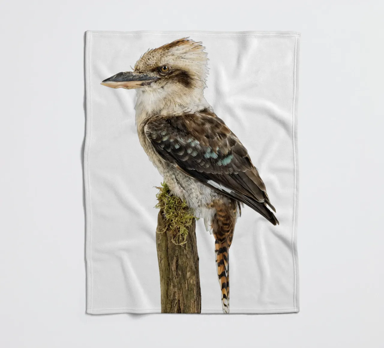 Kookaburra coperta in pile da Curious Collections by Marielle Leenders