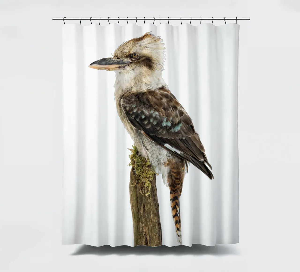 Kookaburra shower curtain by Curious Collections by Marielle Leenders