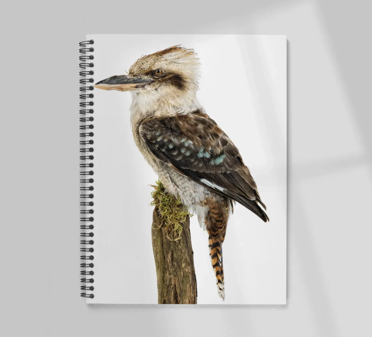 Kookaburra spiral notebook by Curious Collections by Marielle Leenders