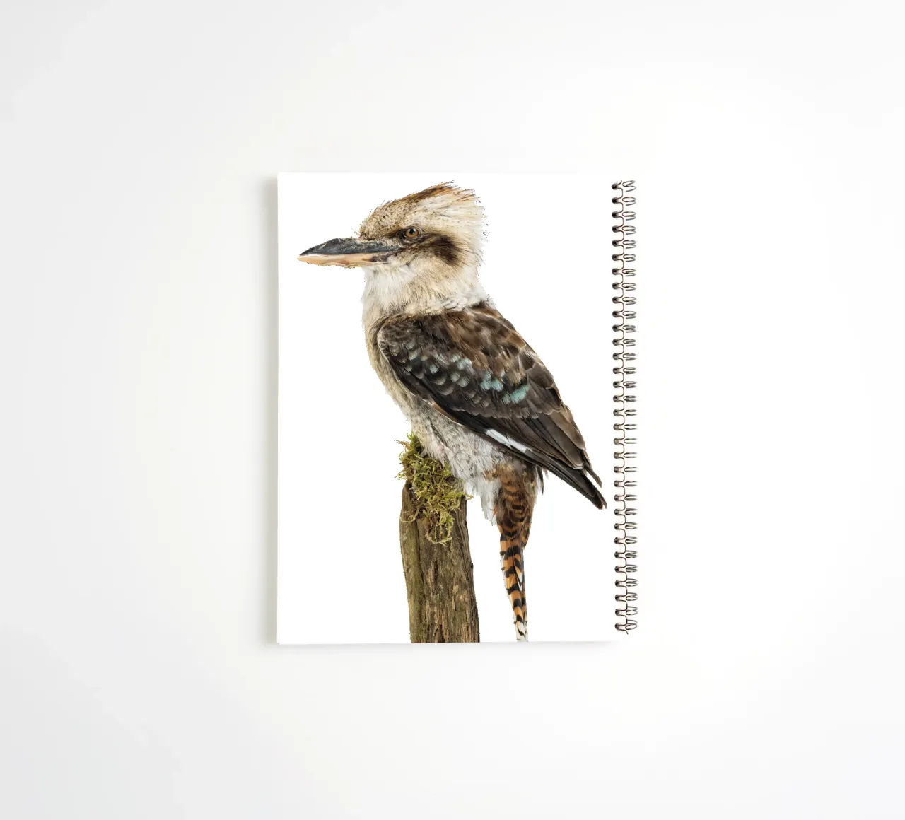 Kookaburra spiral notebook by Curious Collections by Marielle Leenders