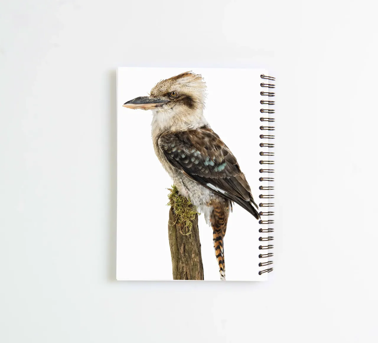 Kookaburra spiral notebook by Curious Collections by Marielle Leenders