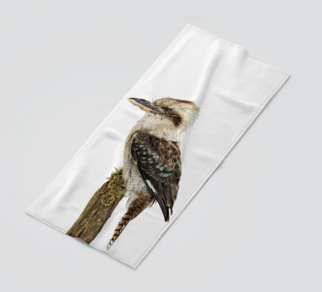 Kookaburra telo mare da Curious Collections by Marielle Leenders