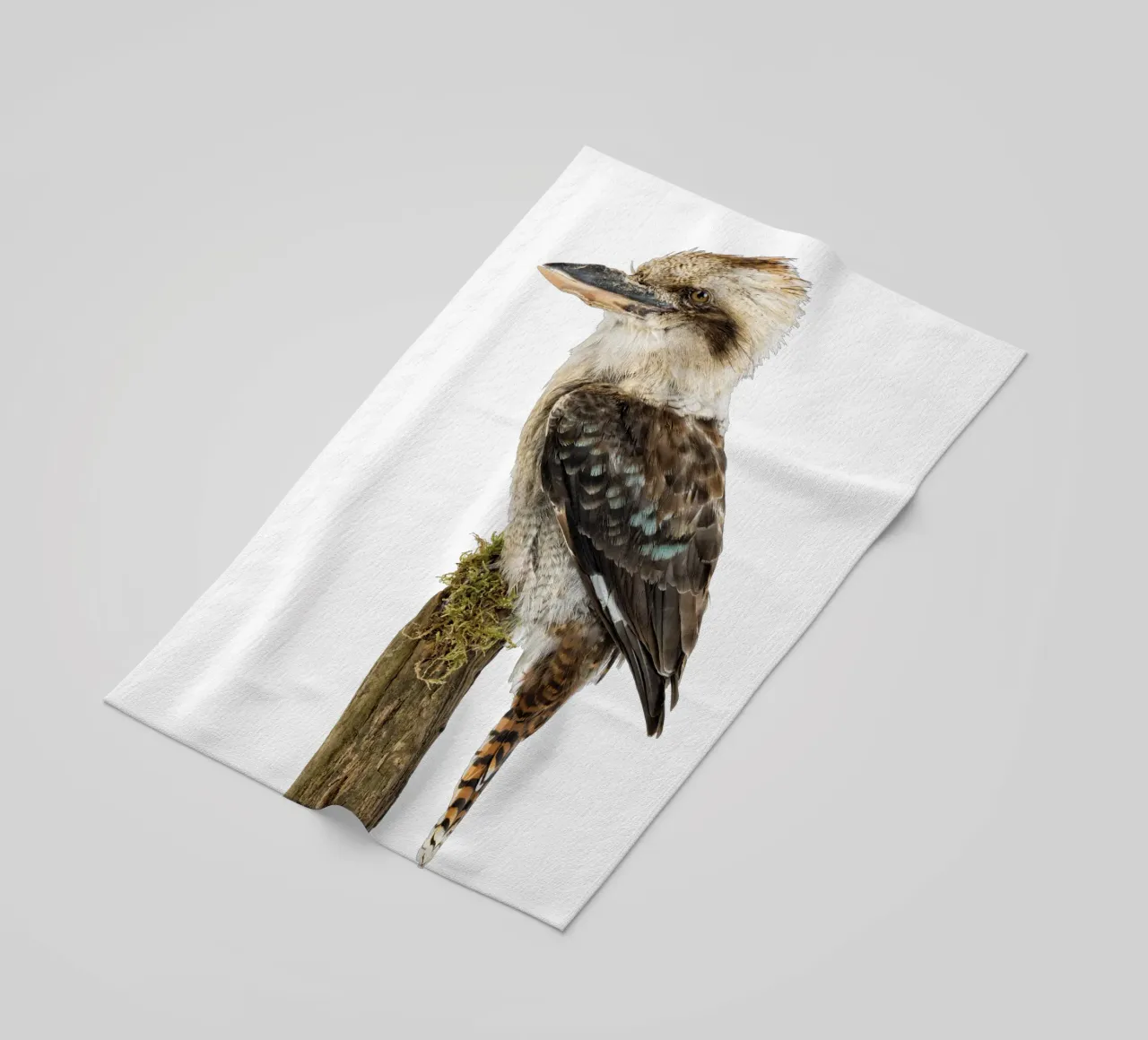 Kookaburra beach towel by Curious Collections by Marielle Leenders