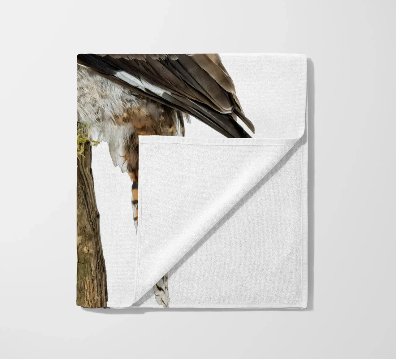 Kookaburra beach towel by Curious Collections by Marielle Leenders