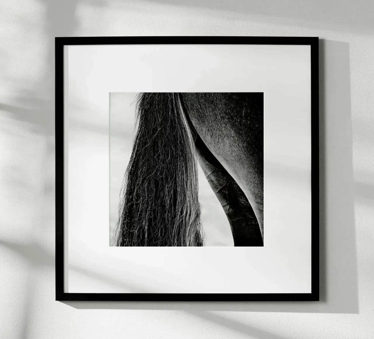 Embracing Light - Piet Flour poster da Pictufy