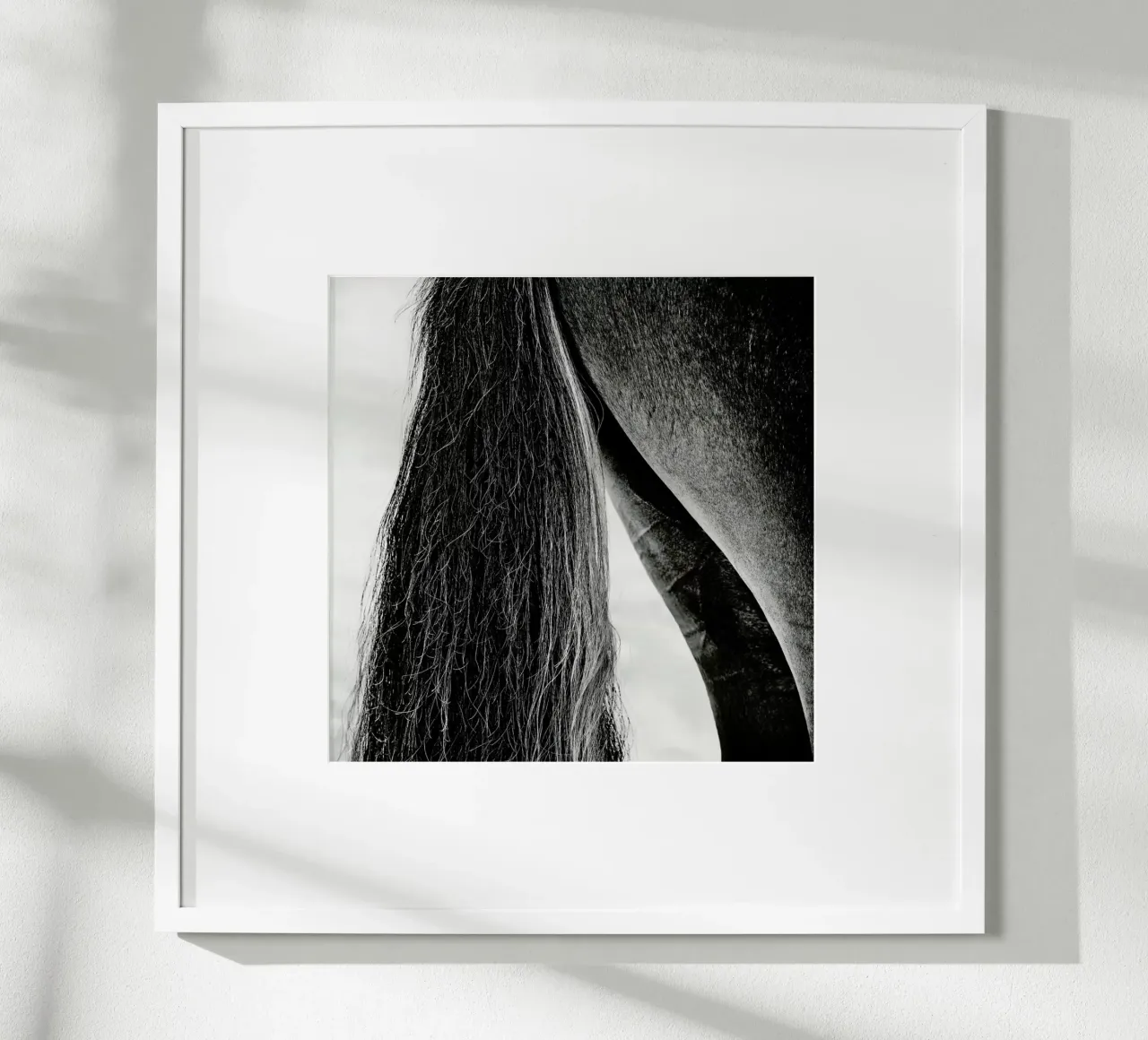 Embracing Light - Piet Flour poster da Pictufy