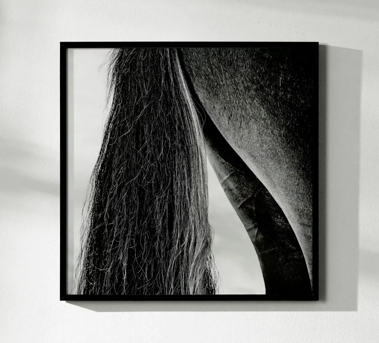 Embracing Light - Piet Flour poster da Pictufy