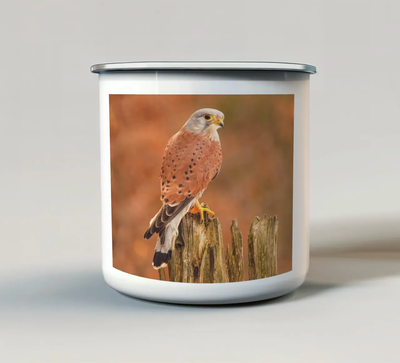 Gheppio comune tazza in smalto da Dave Hare Photography