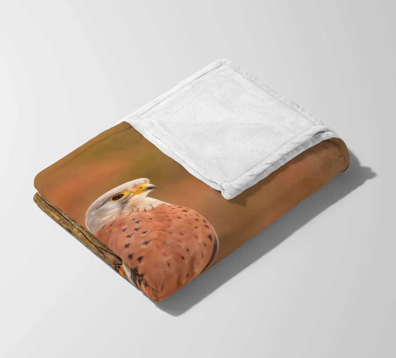 Gheppio comune coperta in pile da Dave Hare Photography