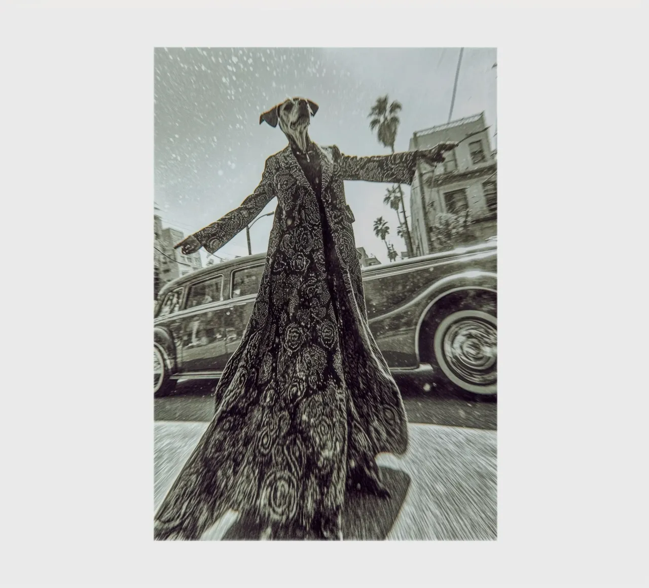 Sam notebook by Affiches Chien Originales – Dogland