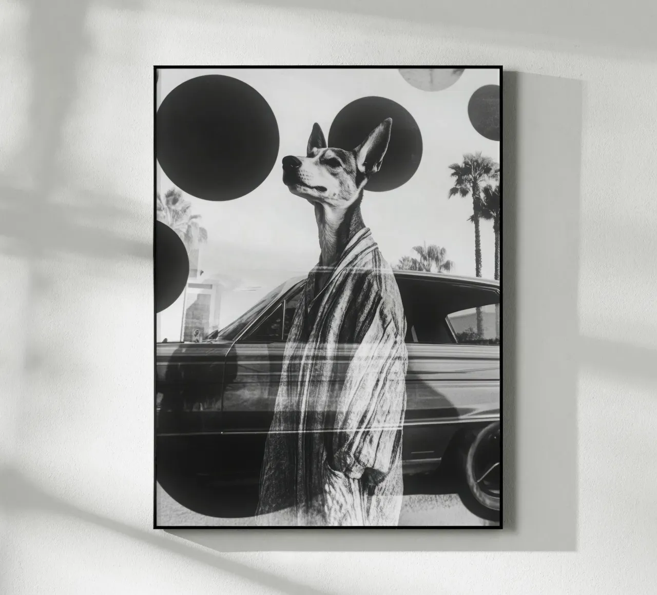 Samy plexiglass da Affiches Chien Originales – Dogland