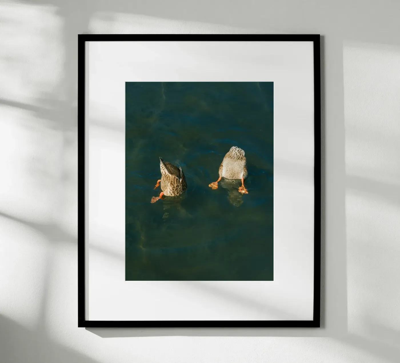 couple duck poster da juli