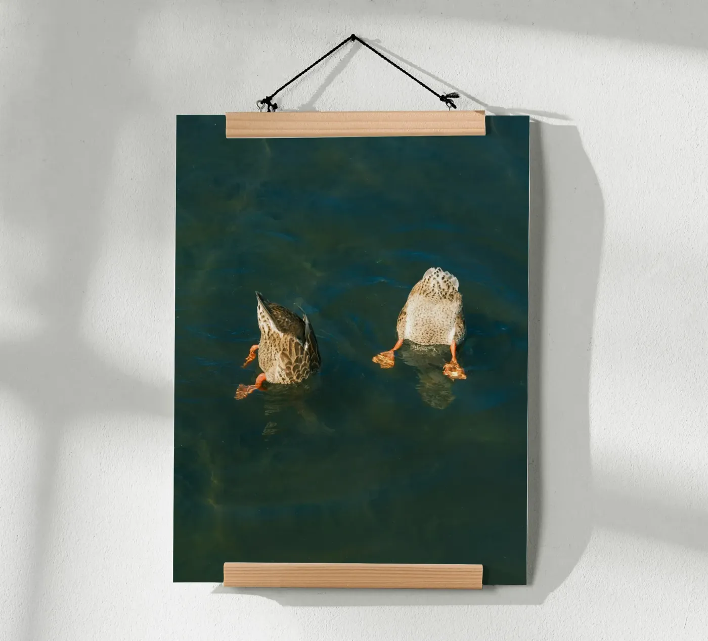 couple duck poster da juli