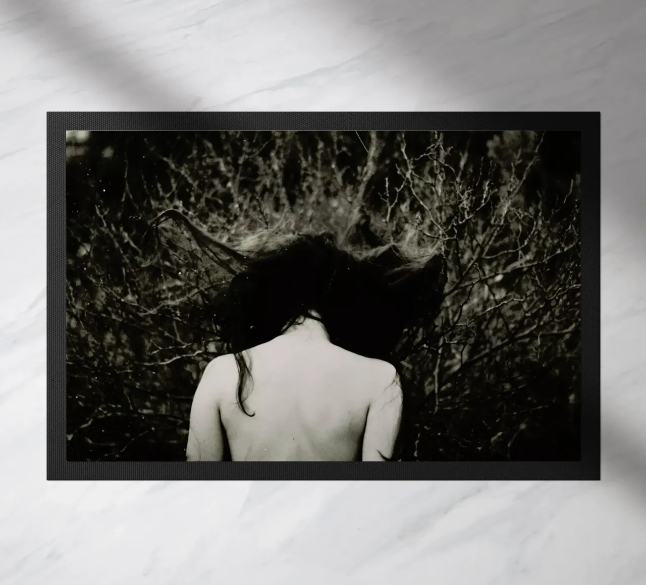 Jellyfish zerbino da Dani L.