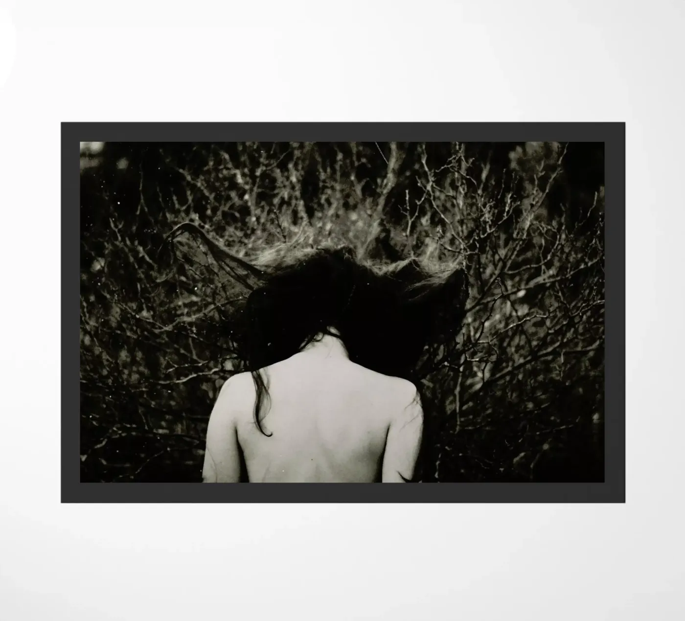 Jellyfish doormat by Dani L.