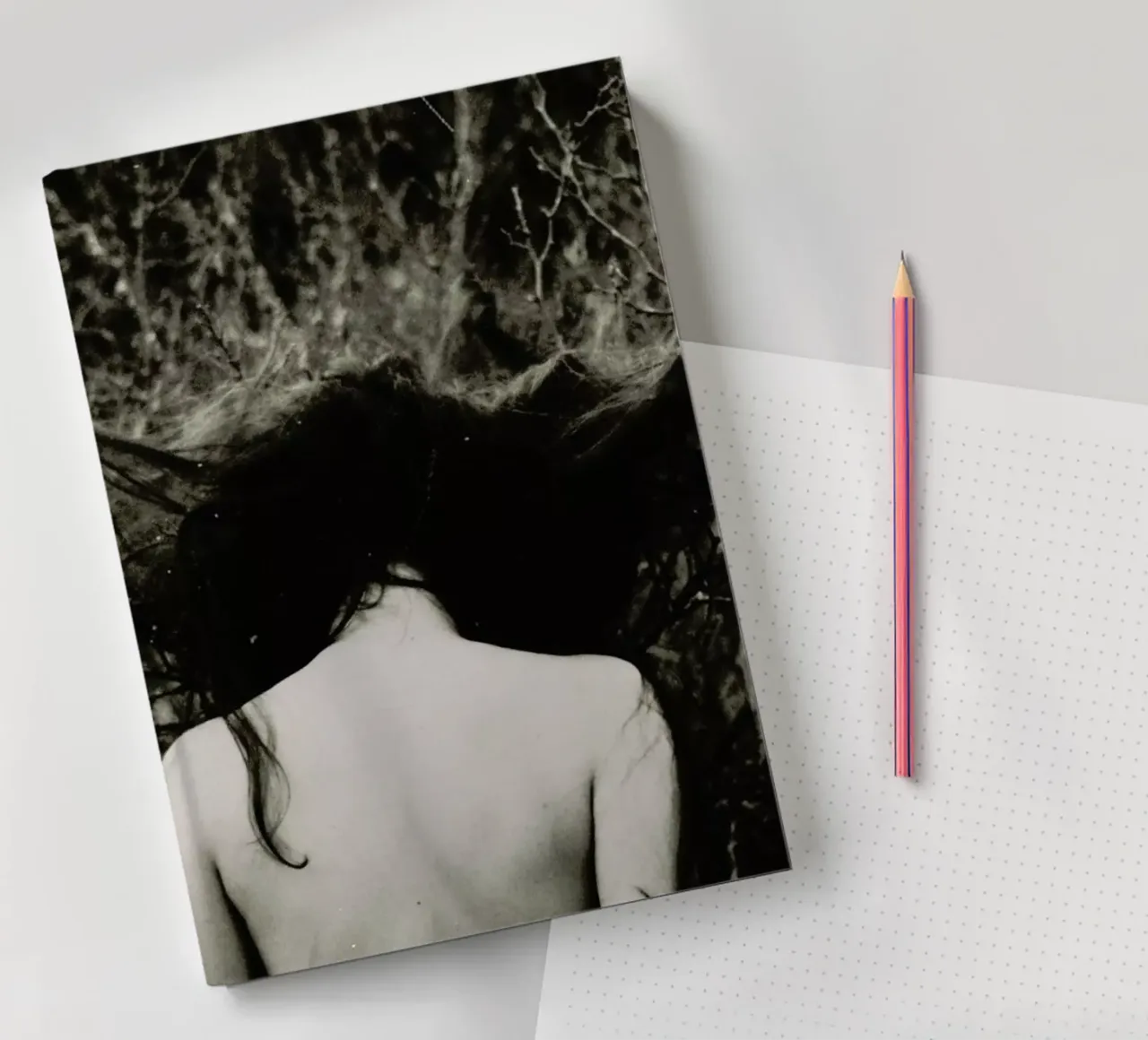 Jellyfish notebook by Dani L.