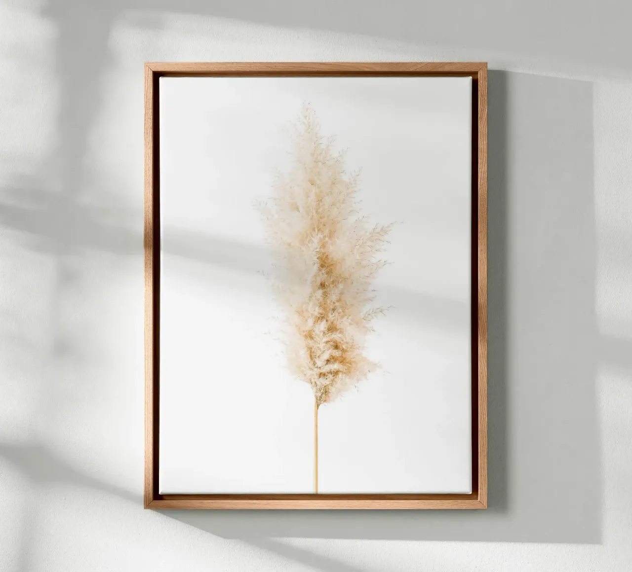Natural elegance - Pampas grass Minimalist canvas with Floater frame by Whole©