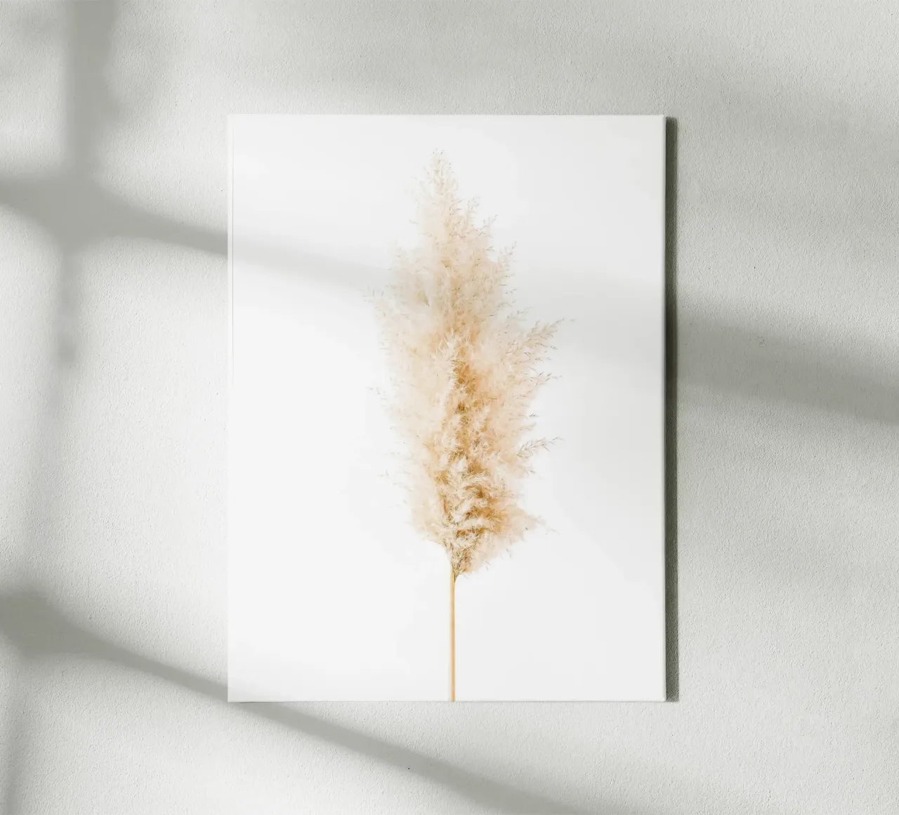 Natural elegance - Pampas grass Minimalist canvas with Floater frame by Whole©