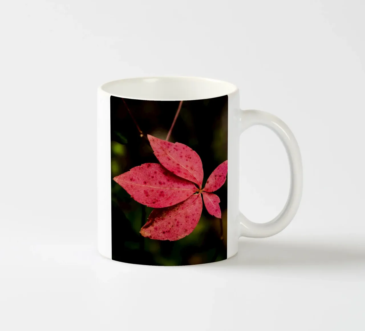 Foglie d'autunno tazza in ceramica da Teresa André