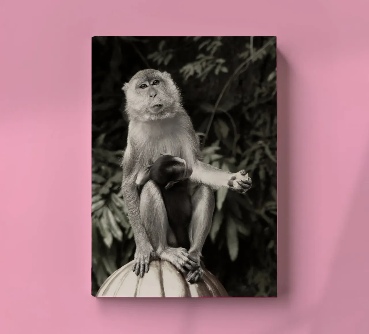 Affenzirkus notebook by Nature stroll