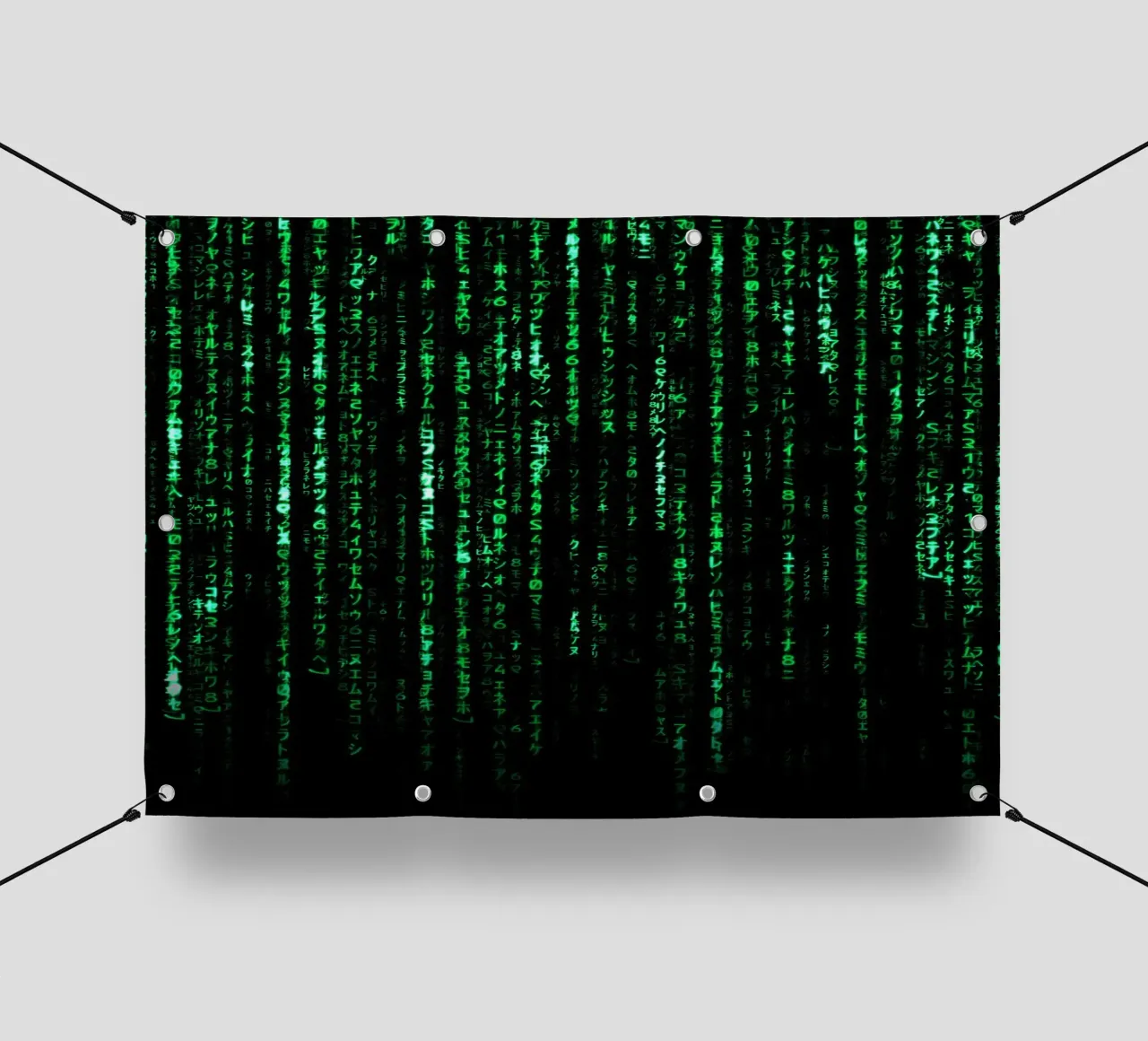 The Matrix Code telo in pvc da nabakumov