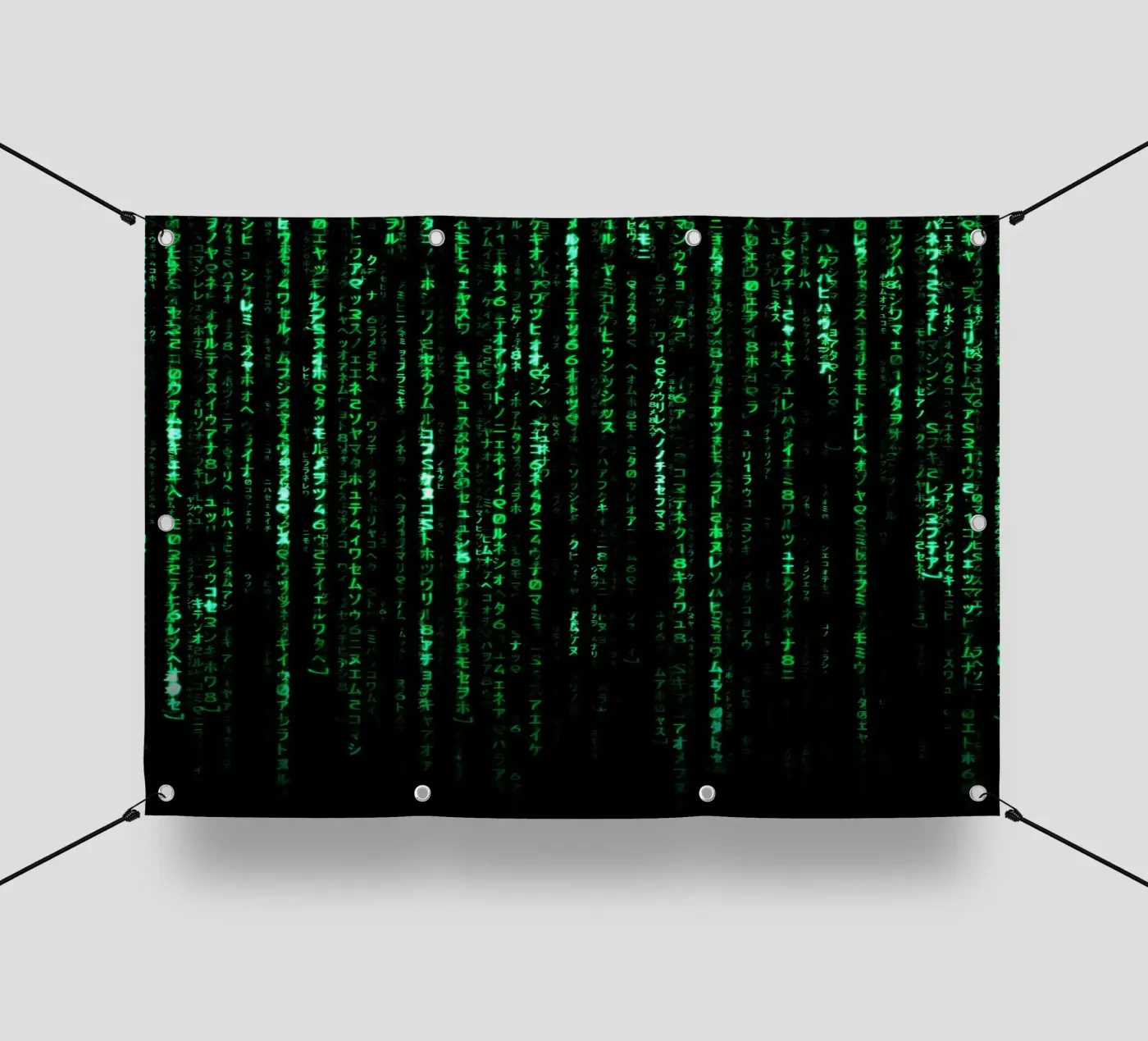 The Matrix Code telo in pvc da nabakumov