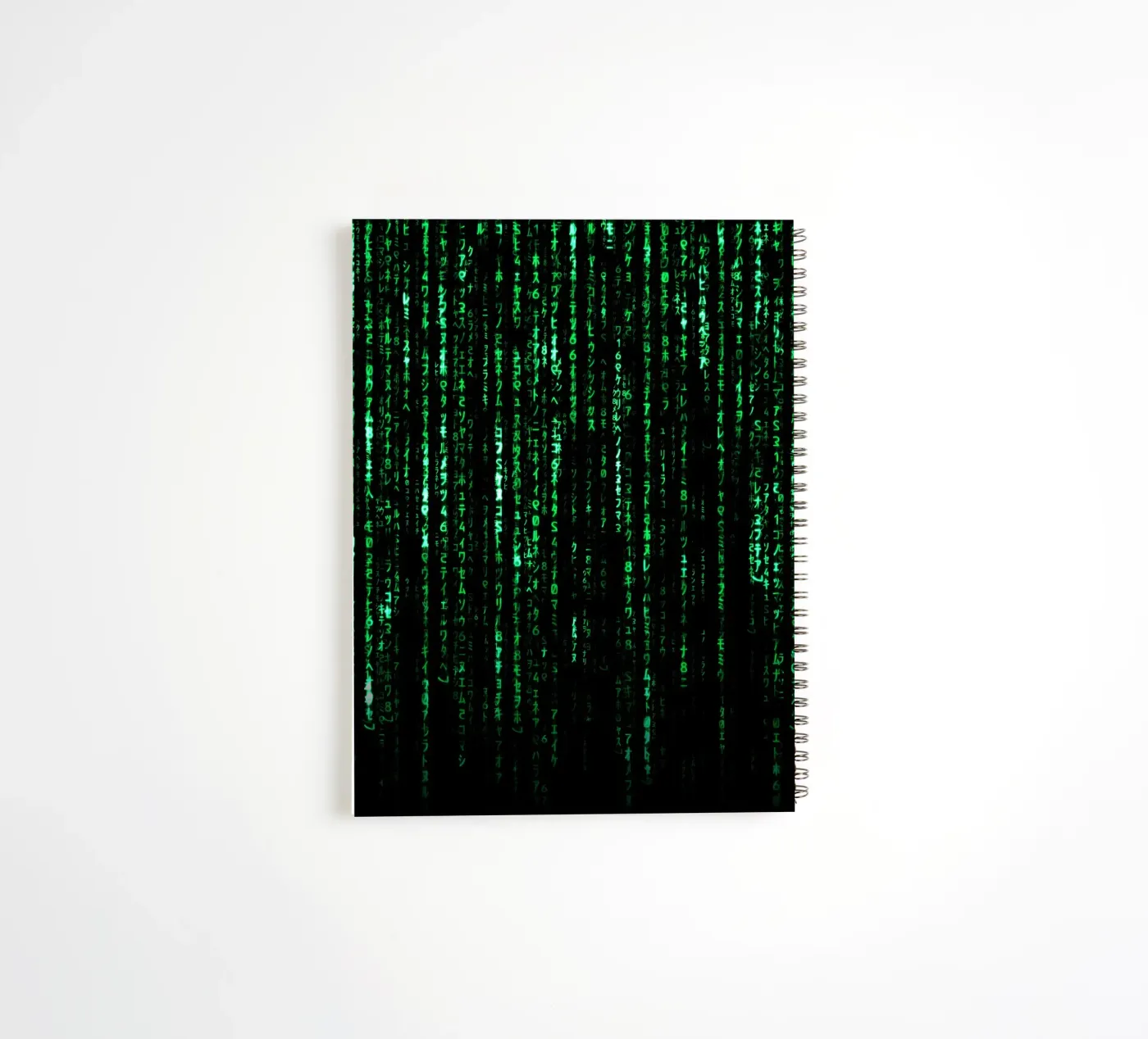 The Matrix Code Ringbuch von Nabakumovart I