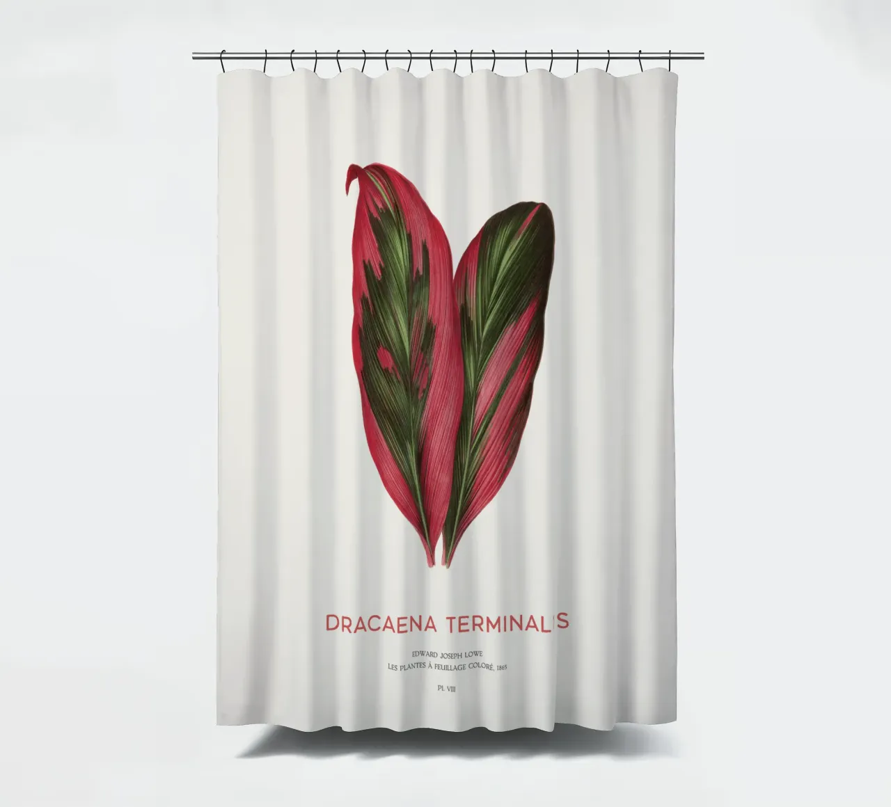 Palmlilie oder Dracaena Terminalis Duschvorhang von Vintagrafica