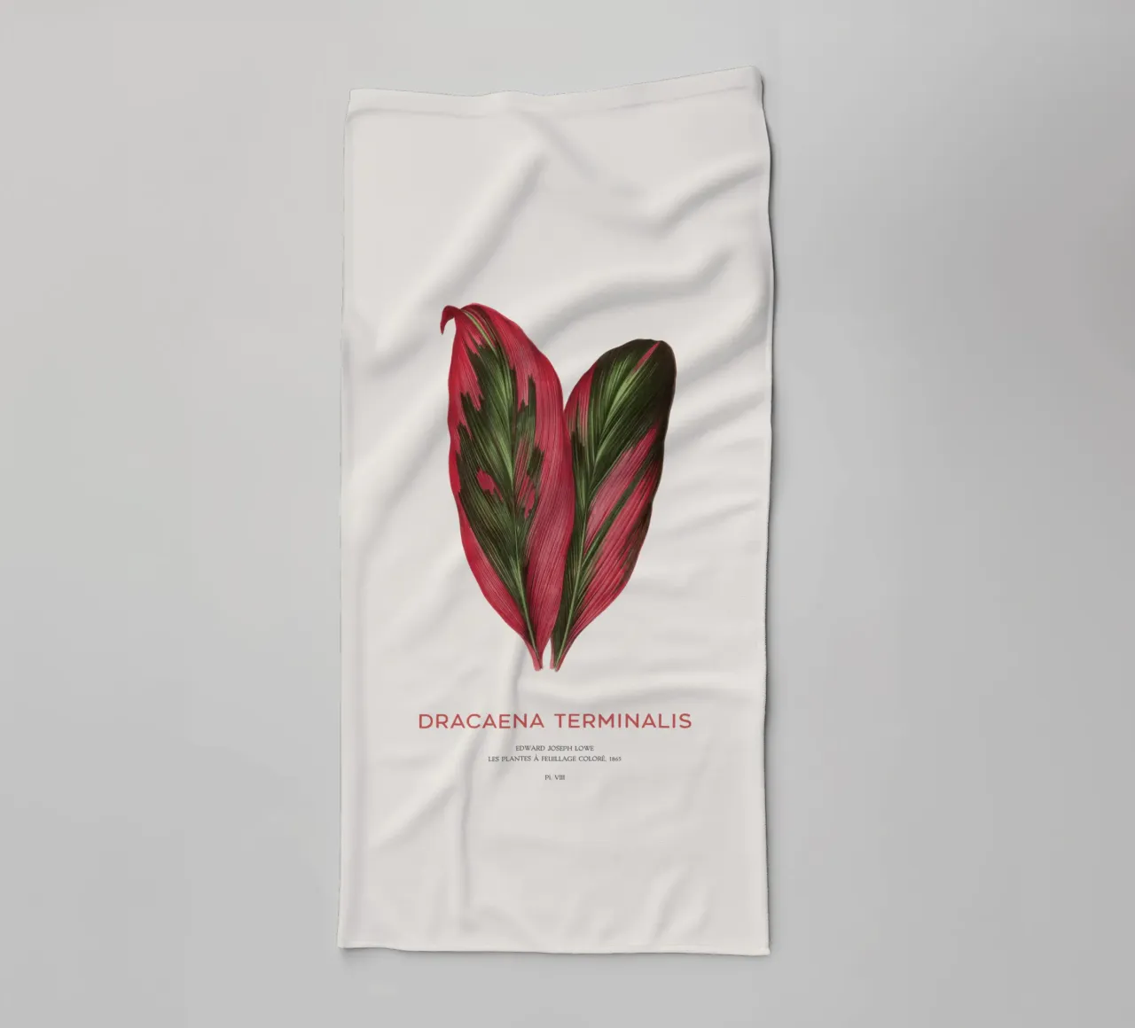 Palm Lily or Dracaena Terminalis towel by Vintagrafica