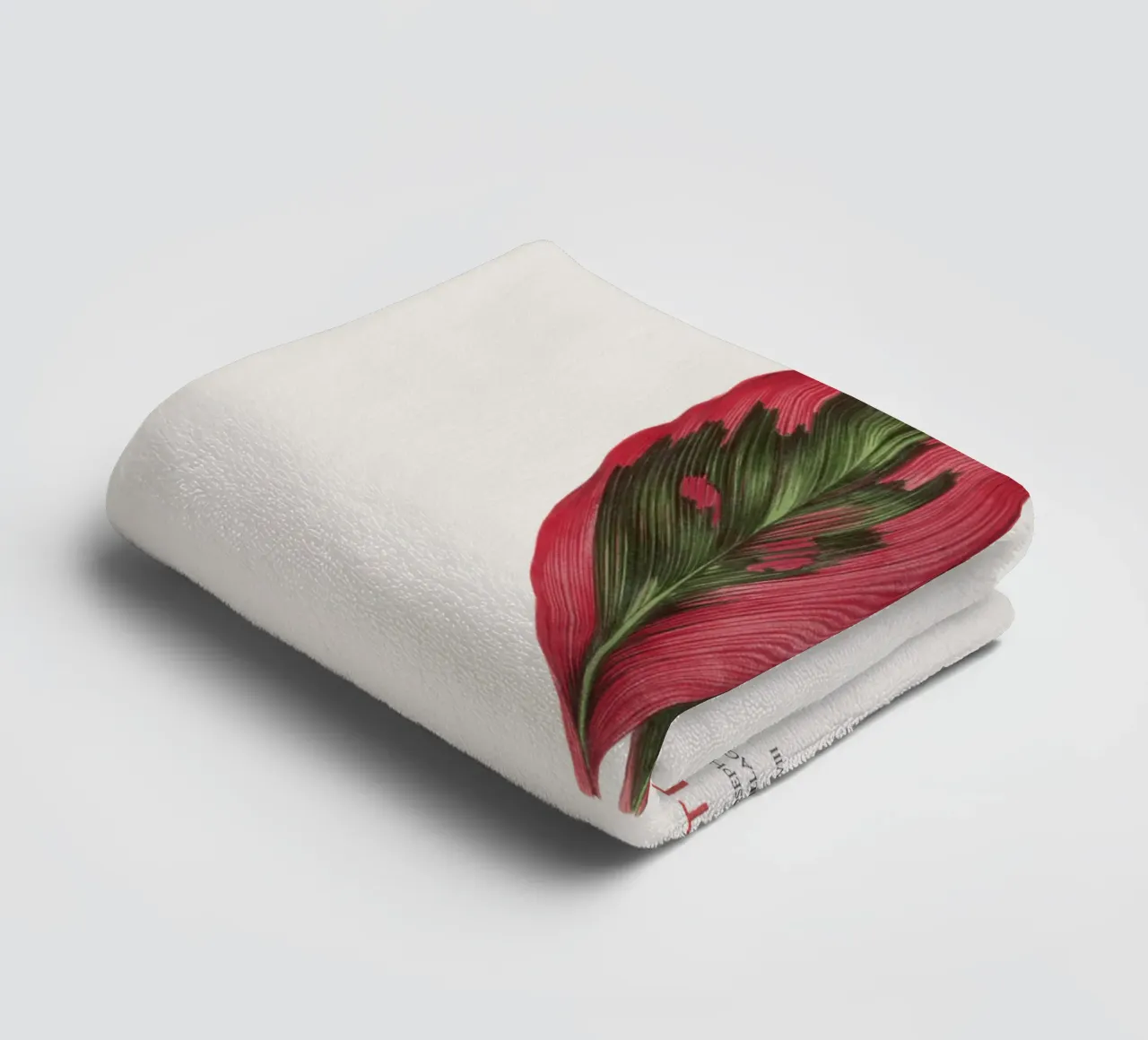 Palm Lily or Dracaena Terminalis towel by Vintagrafica